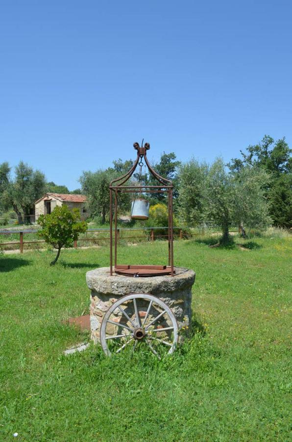 בית הארחה Seggiano 	La Casina Degli Olivi מראה חיצוני תמונה